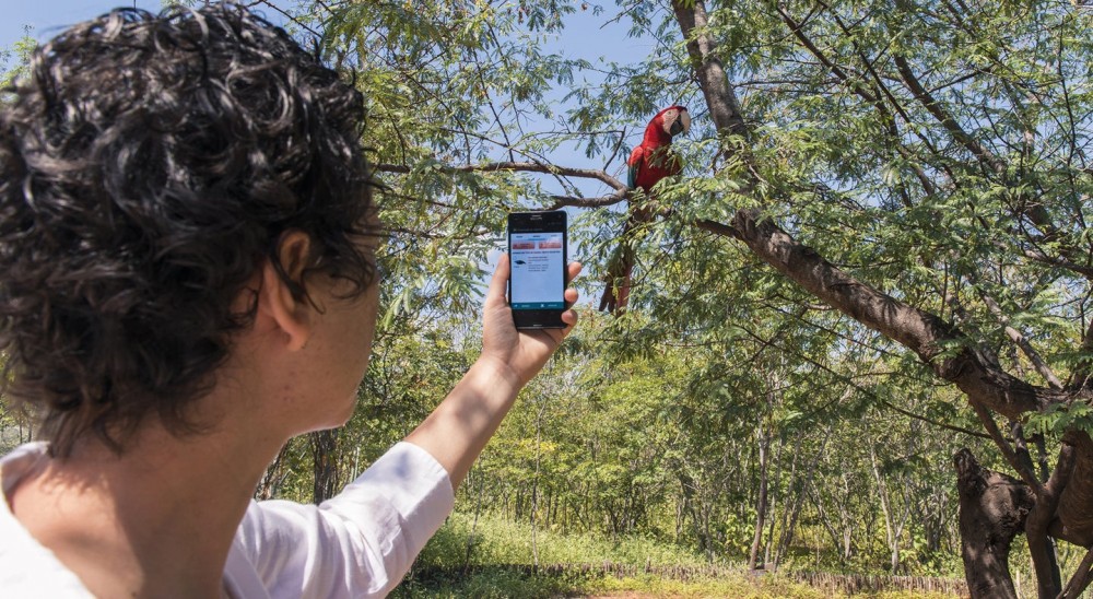 The next pandemic could be lurking anywhere. Can this wildlife-tracking app help prevent it?