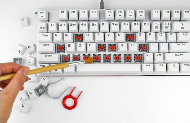 Closeup of a person cleaning dust out of a mechanical keyboard.