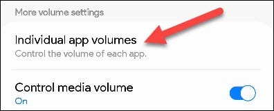 Select "Individual App Volumes."