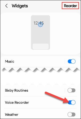 Toggle on "Voice Recorder."