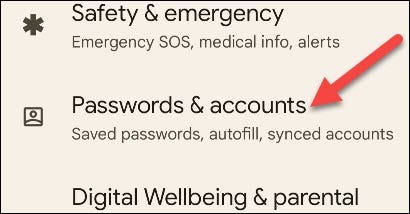 Tap the "Passwords & Accounts" section.