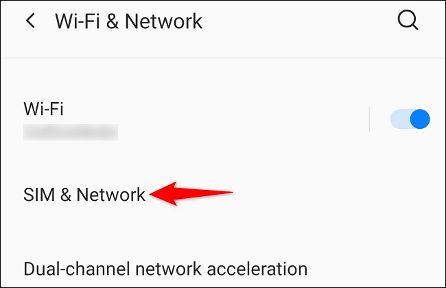 Select "SIM & Network."