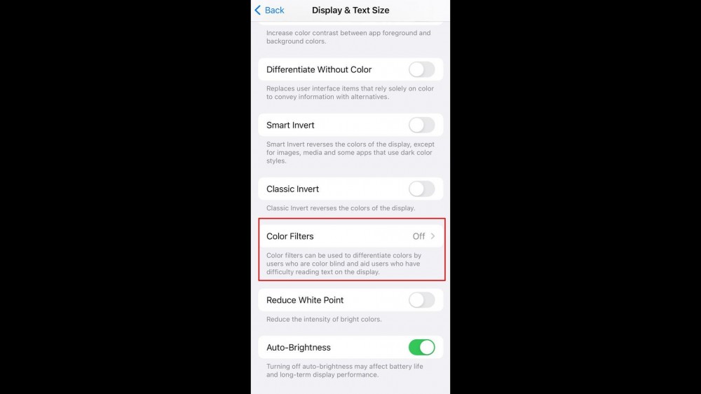 in Display And Text Size, toggle the Color Filters on