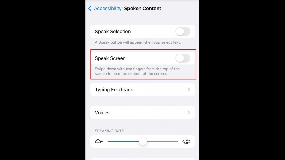 in Spoken Content, choose Speak Screen