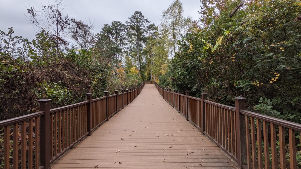 A bridge shot with the ultra-wide camera.